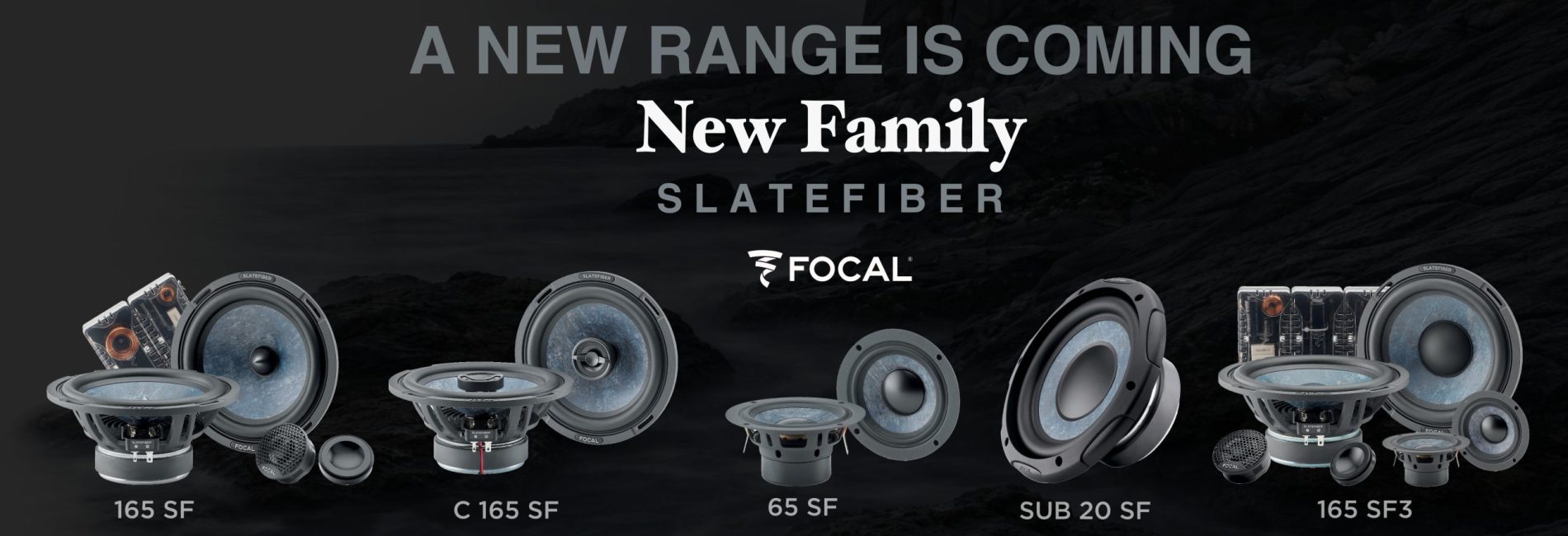 Focal update website psd